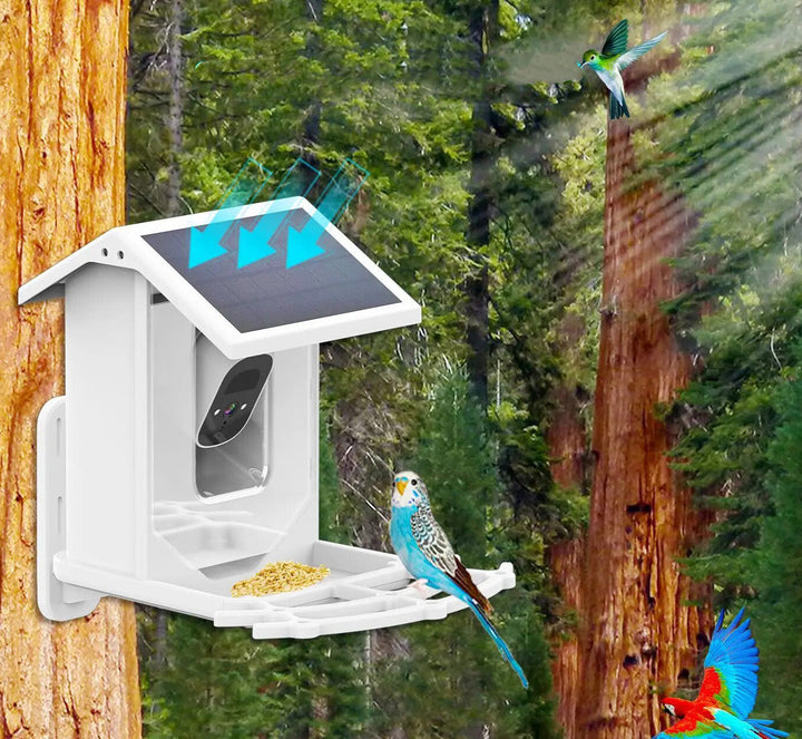 SolacePerch | Smart Solar Bird Feeder - Entdecken Sie die Natur auf eine einzigartige Weise!