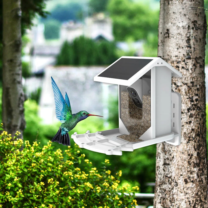 SolacePerch | Smart Solar Bird Feeder - Entdecken Sie die Natur auf eine einzigartige Weise!