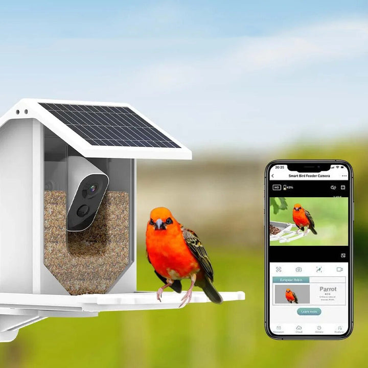 SolacePerch | Smart Solar Bird Feeder - Entdecken Sie die Natur auf eine einzigartige Weise!