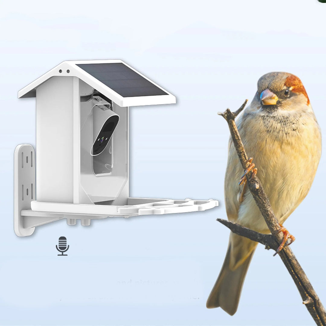 SolacePerch | Smart Solar Bird Feeder - Entdecken Sie die Natur auf eine einzigartige Weise!