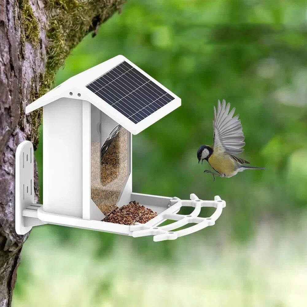 SolacePerch | Smart Solar Bird Feeder - Entdecken Sie die Natur auf eine einzigartige Weise!